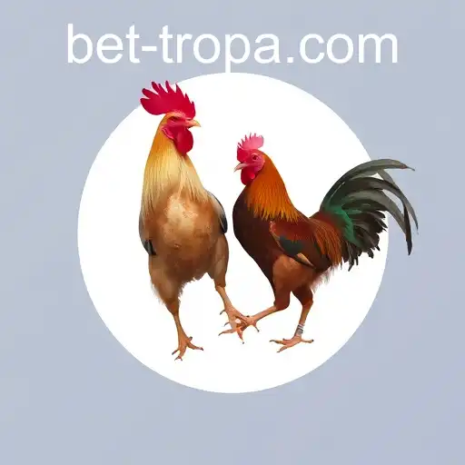 Exploring the World of Sabong Games: A Comprehensive Look at Bettropa